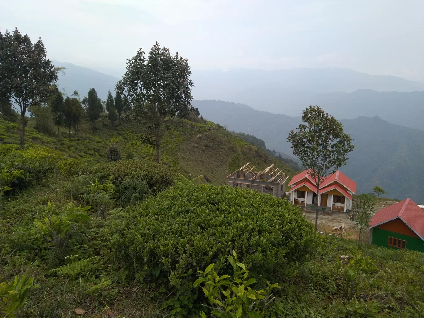 Photo of Darjeeling By Sudeshna Mitra