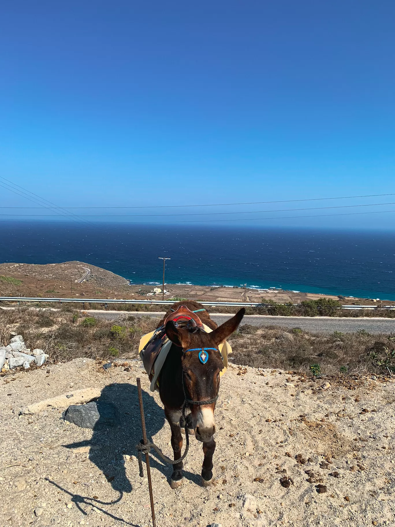 Photo of Santorini By Kadambari Bhatte (curlytravelmess)
