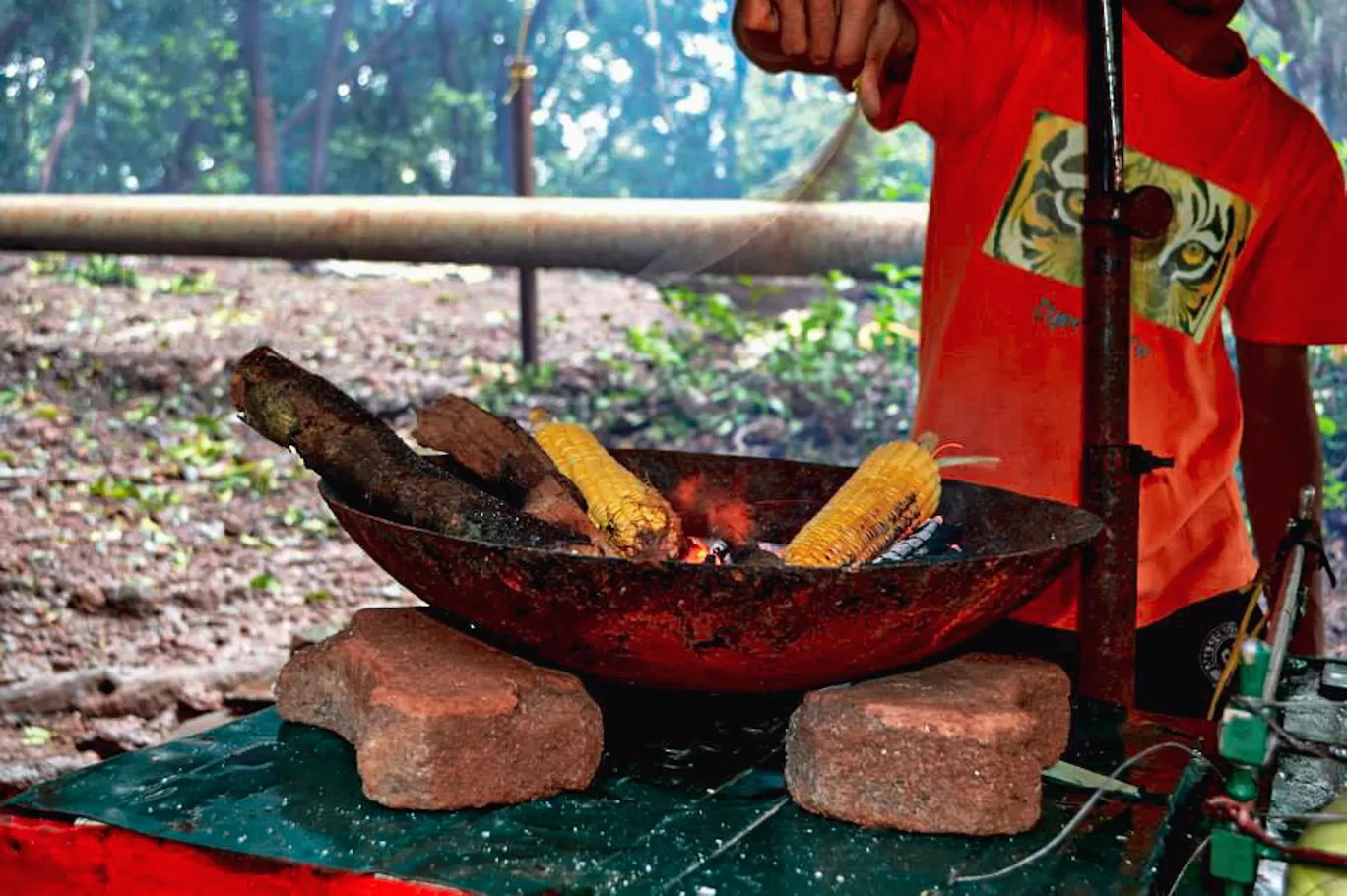 Photo of Matheran By Kadambari Bhatte (curlytravelmess)