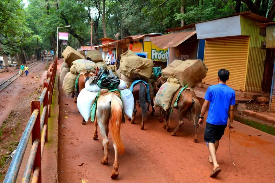 Photo of Matheran By Kadambari Bhatte (curlytravelmess)