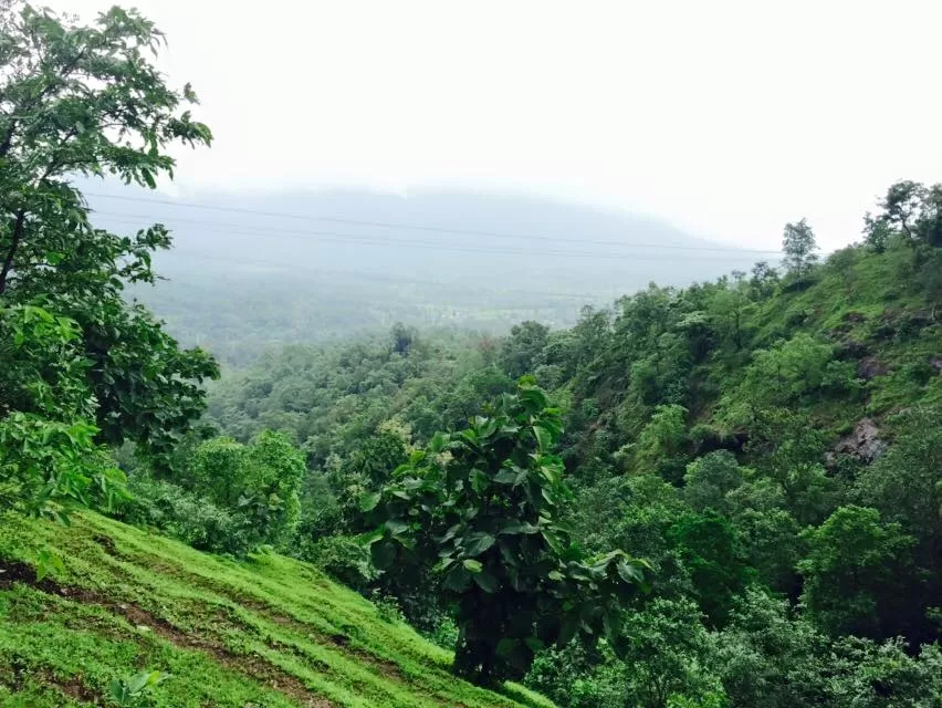 Photo of Naneghat Trekking Point By Kadambari Bhatte (curlytravelmess)