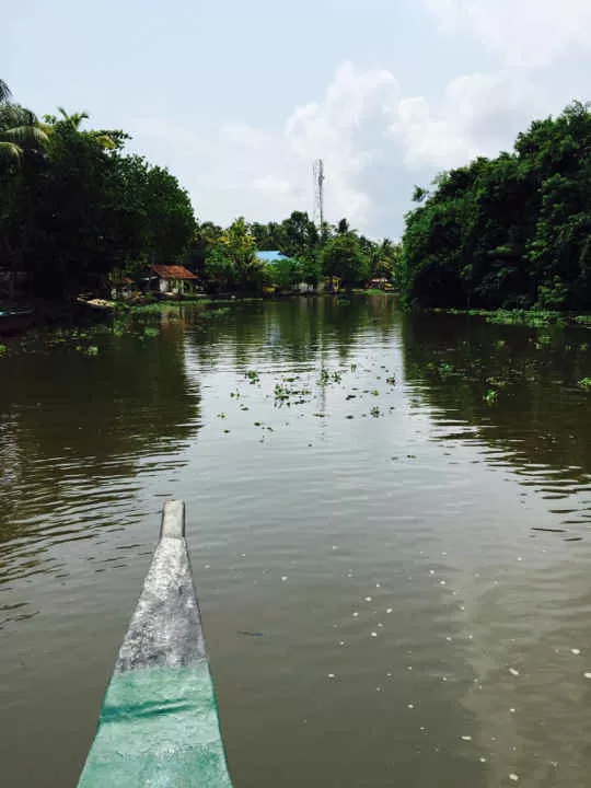 Photo of Kerala By Kadambari Bhatte (curlytravelmess)
