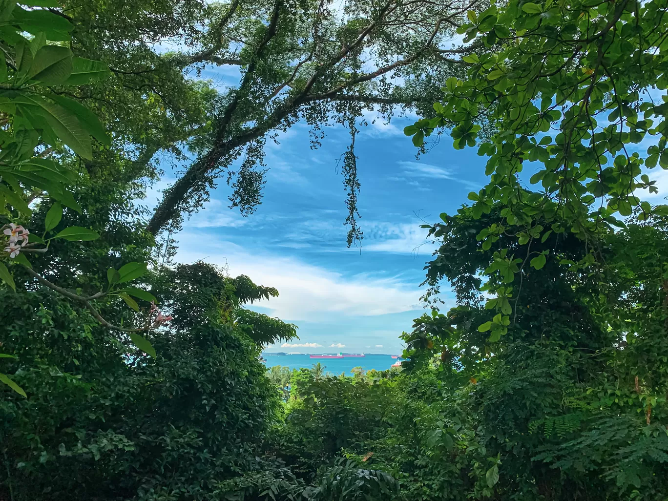 Photo of Sentosa By Kadambari Bhatte (curlytravelmess)