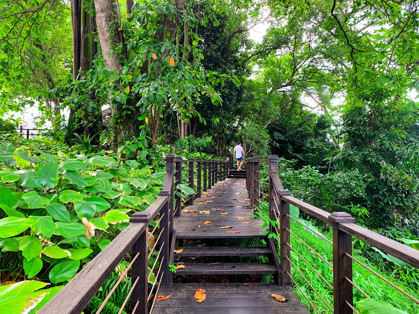 Photo of Sentosa By Kadambari Bhatte (curlytravelmess)