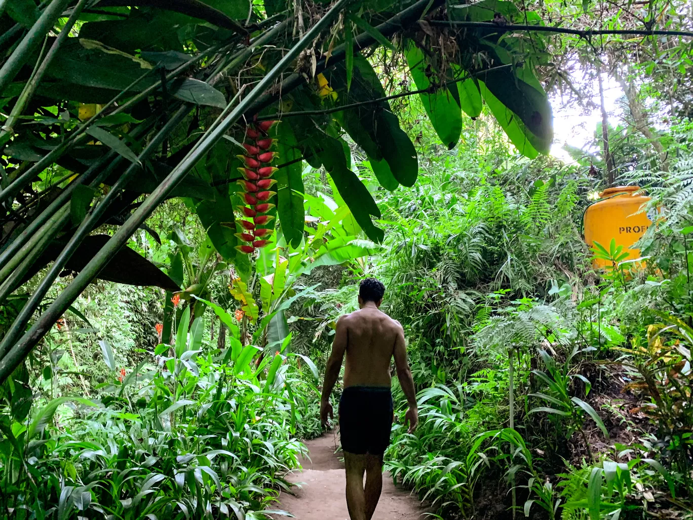 Photo of Bali By Kadambari Bhatte (curlytravelmess)