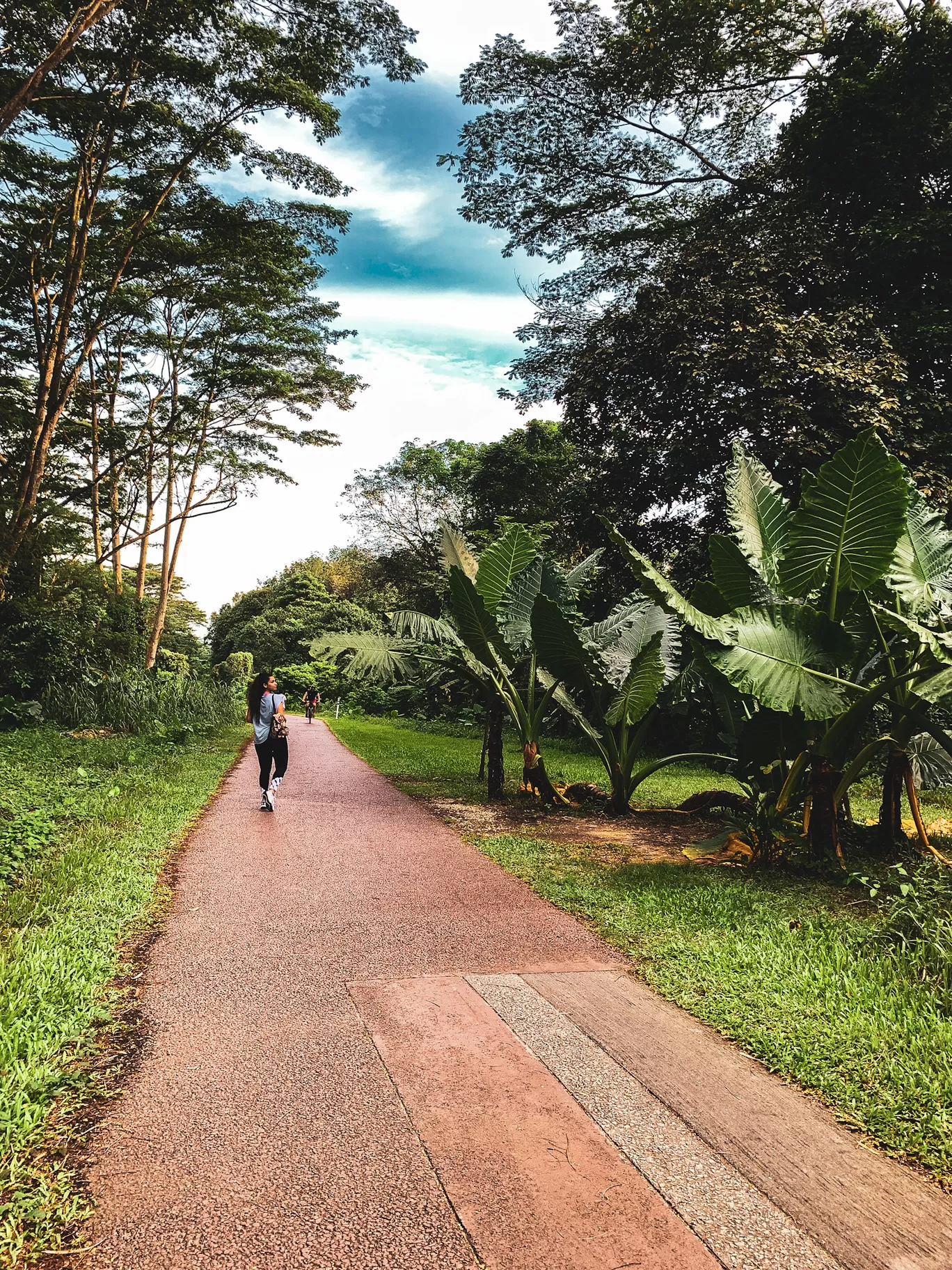 Photo of Clementi Forest By Kadambari Bhatte (curlytravelmess)