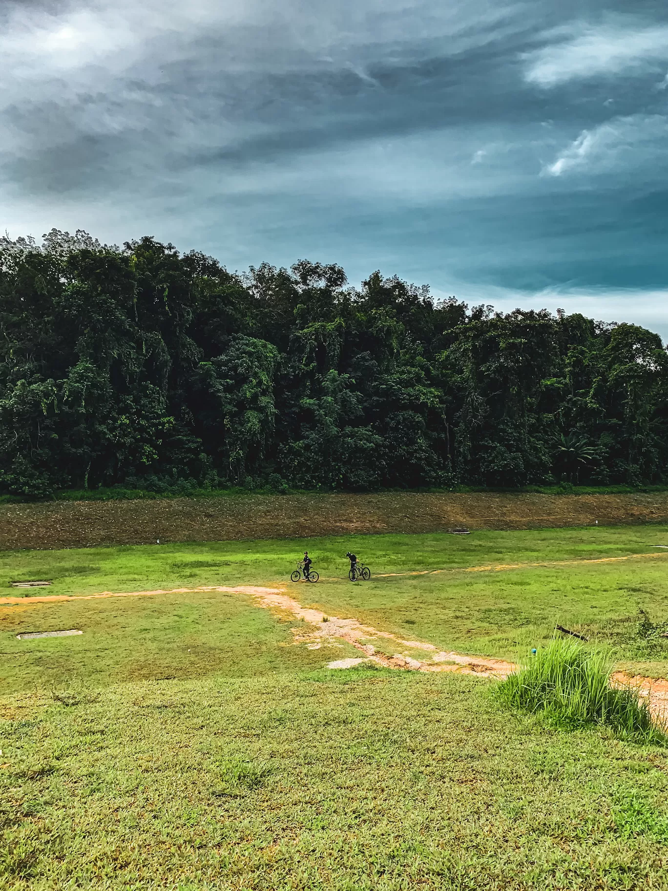 Photo of Clementi Forest By Kadambari Bhatte (curlytravelmess)
