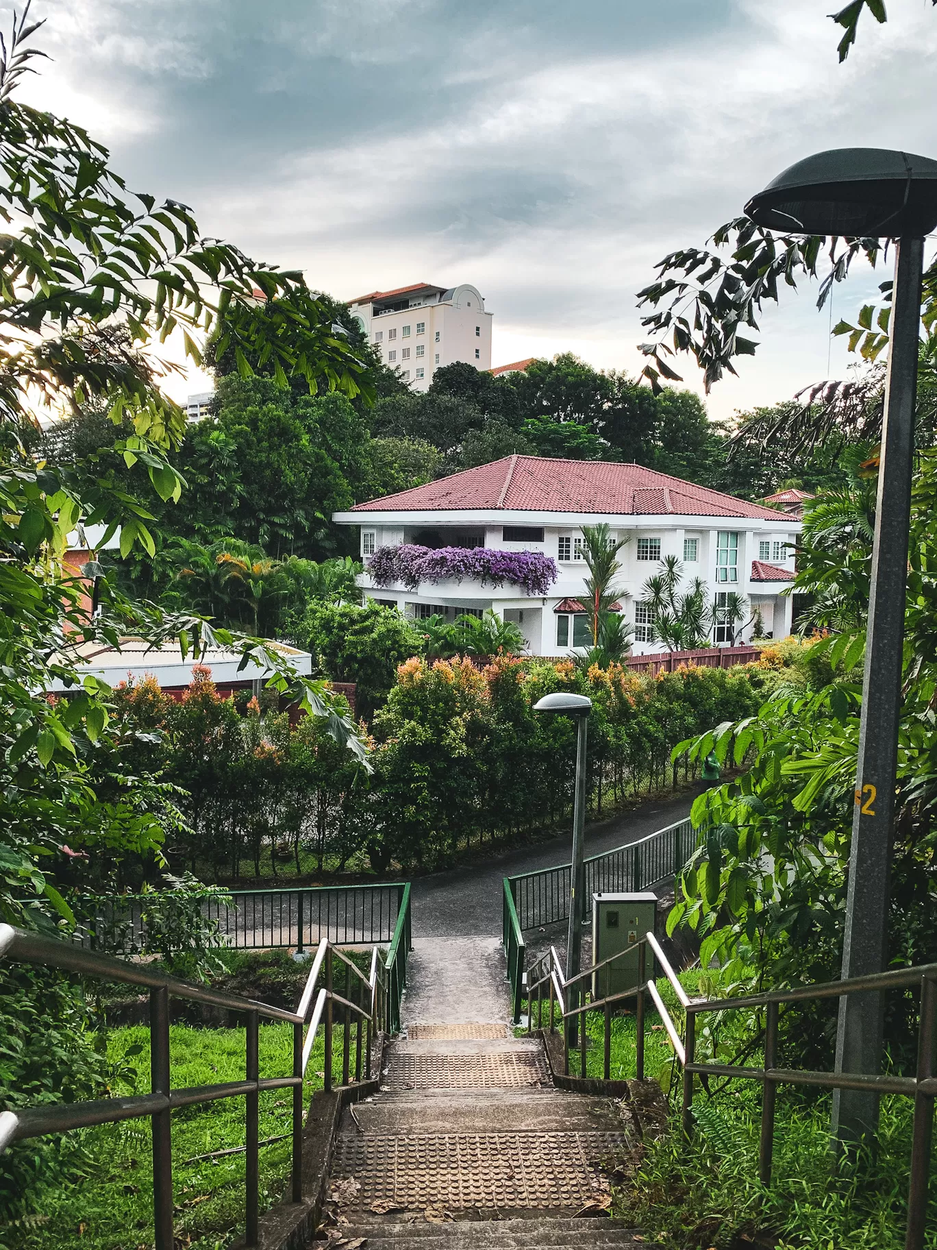 Photo of Clementi Forest By Kadambari Bhatte (curlytravelmess)
