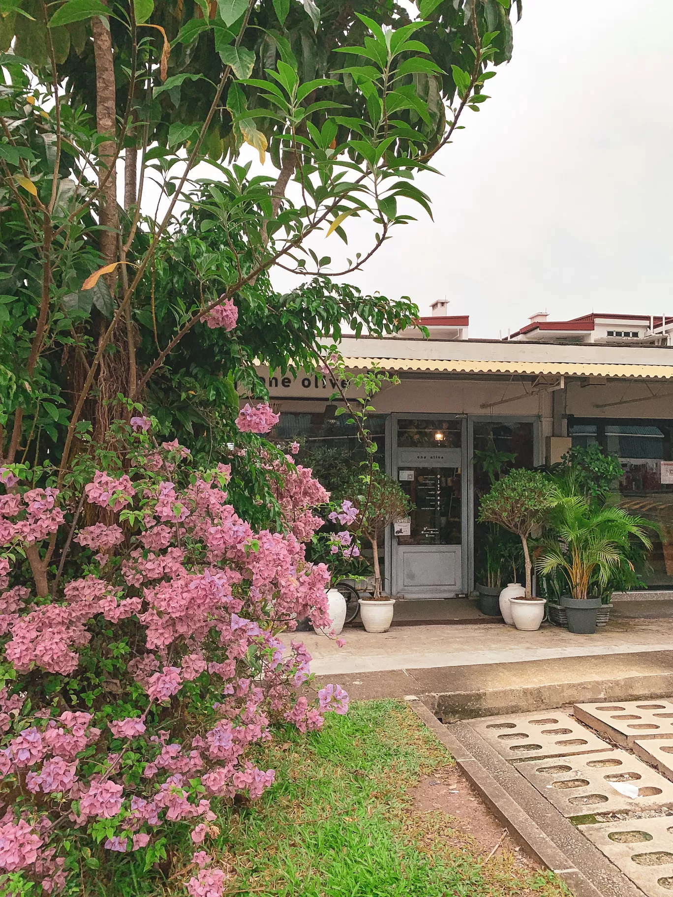 Photo of Tiong Bahru By Kadambari Bhatte (curlytravelmess)