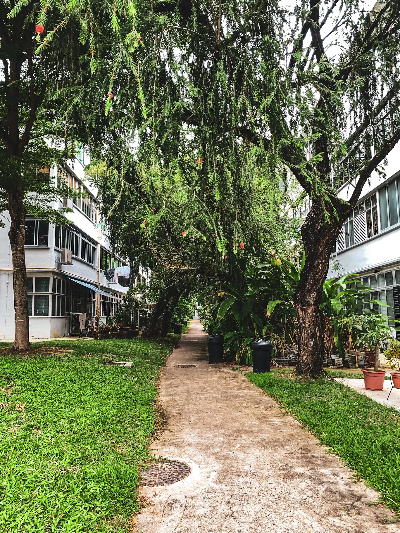Photo of Tiong Bahru By Kadambari Bhatte (curlytravelmess)