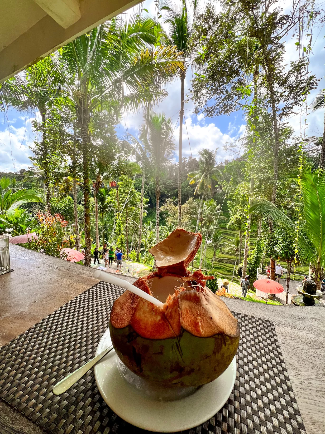 Photo of Ubud By Kadambari Bhatte (curlytravelmess)