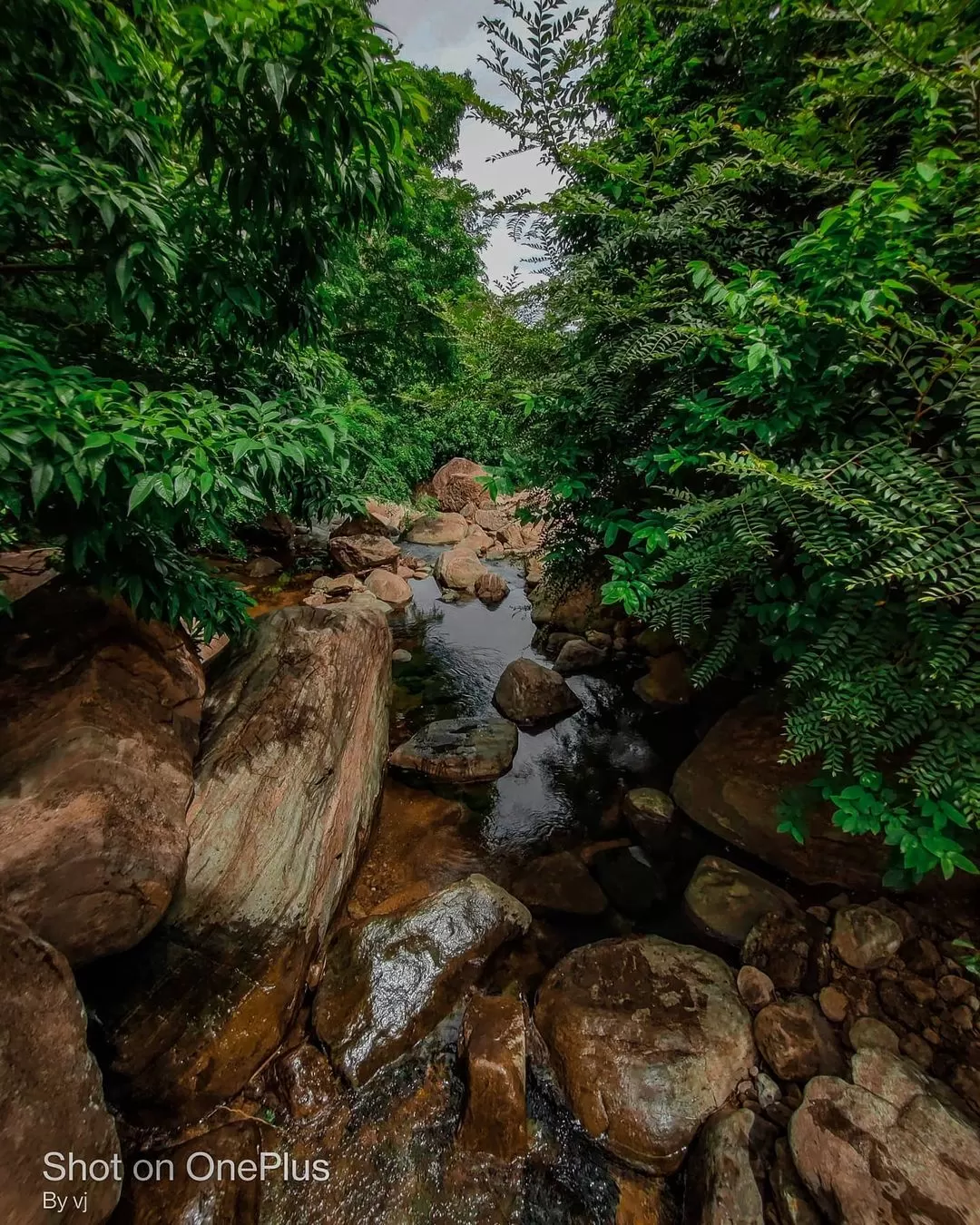 Photo of Sathuragiri Hills By Hari Haran