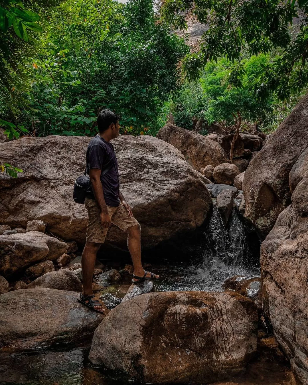 Photo of Sathuragiri Hills By Hari Haran