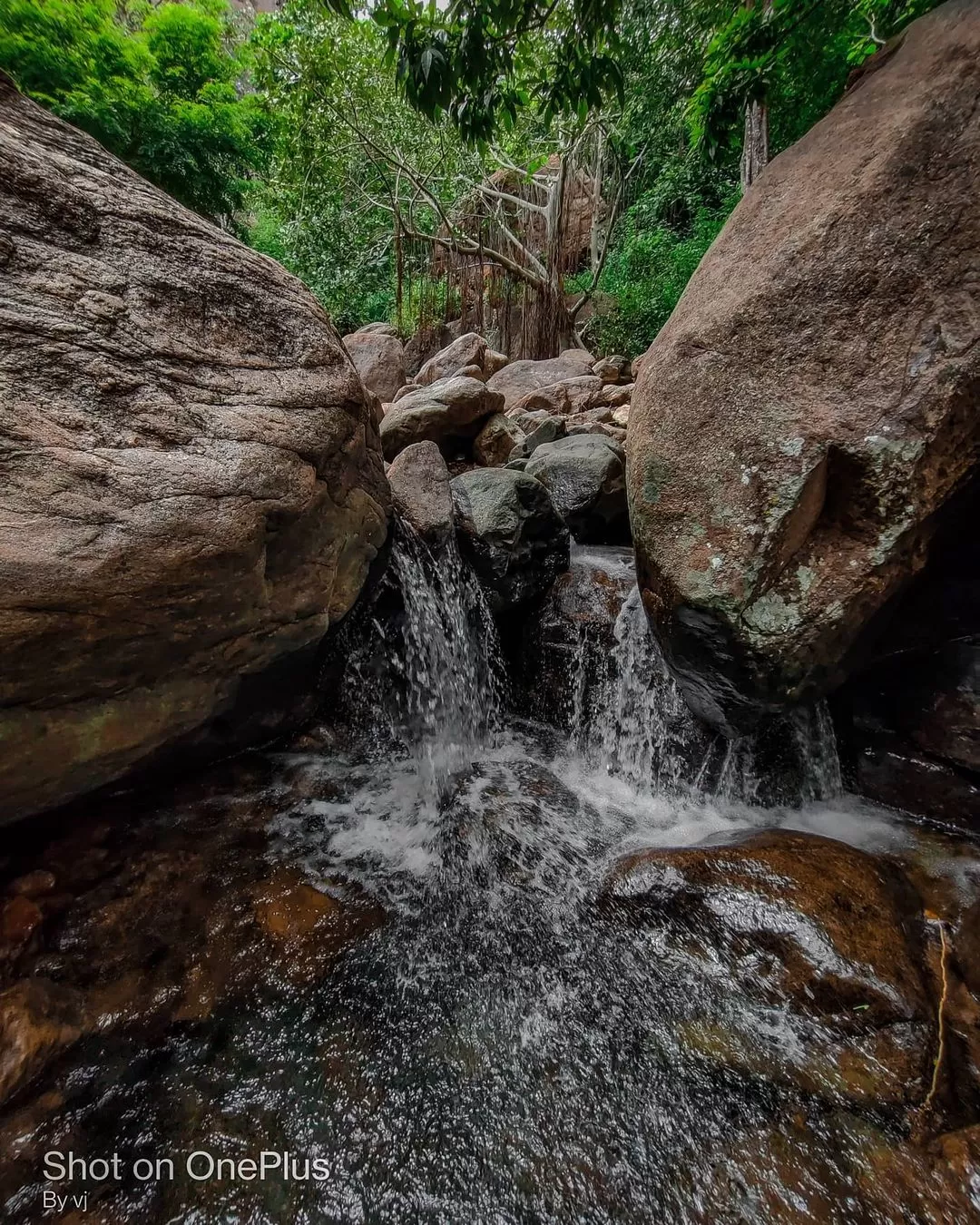 Photo of Sathuragiri Hills By Hari Haran