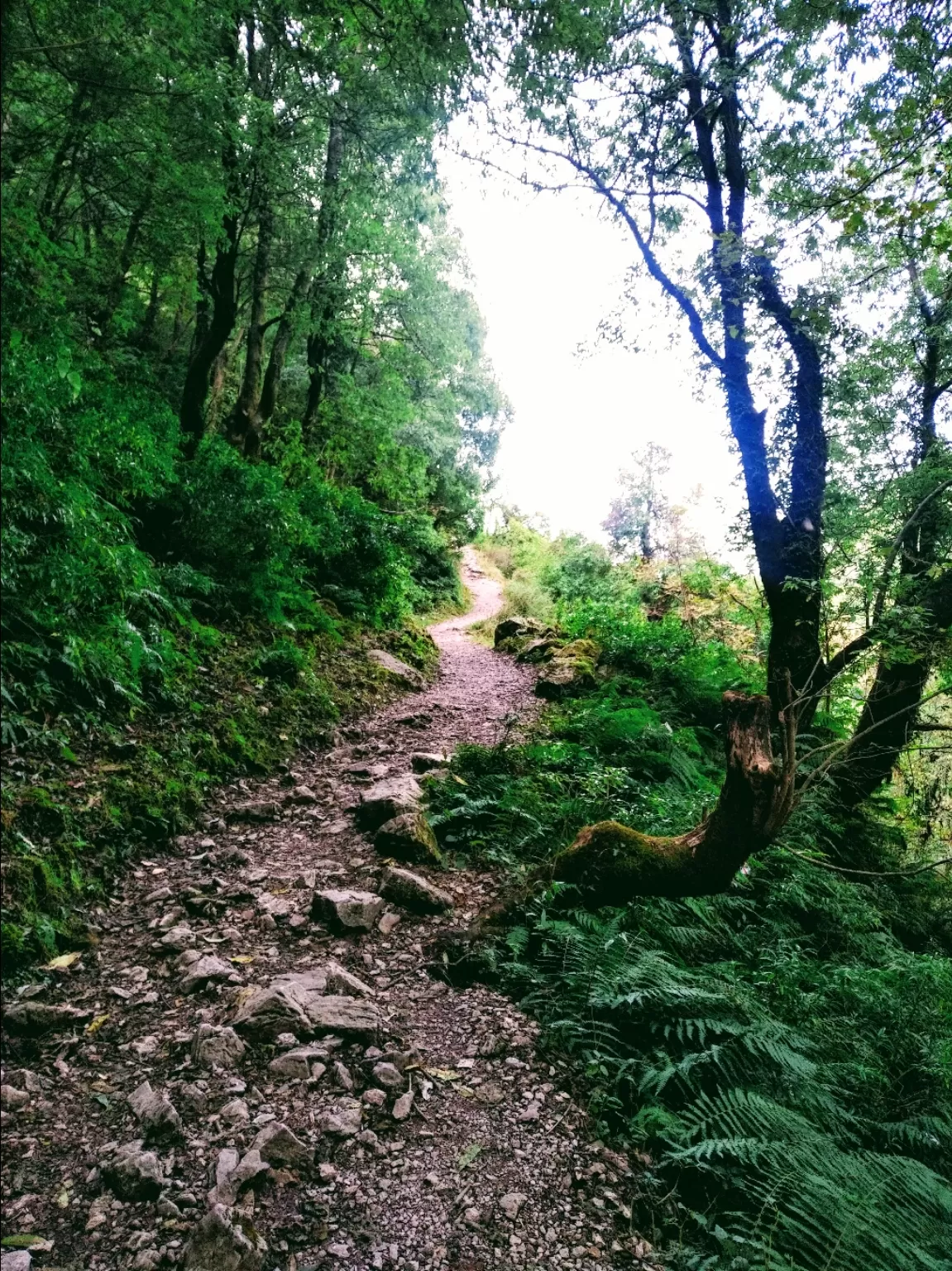 Photo of McLeod Ganj By Mano Nethi