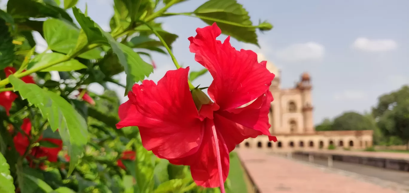 Photo of Safdarjung Tomb By Dinesh Lal