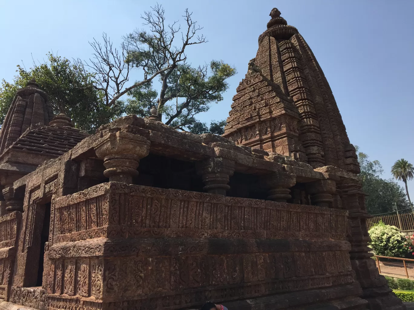 Photo of Amarkantak By Dinesh Lal