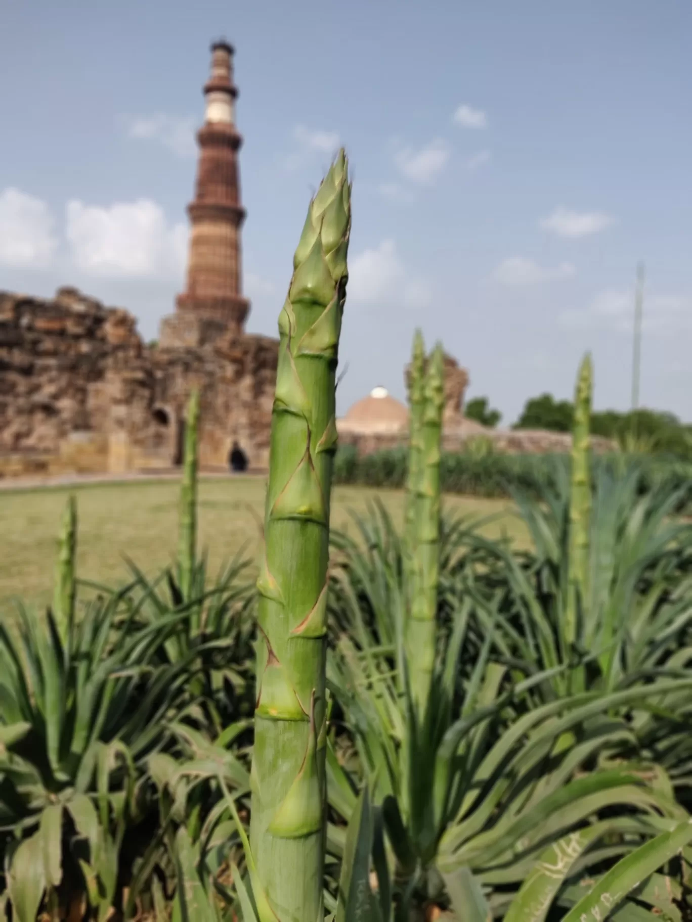 Photo of Qutub Minar, a monument standing strong for 800 years long! By Dinesh Lal