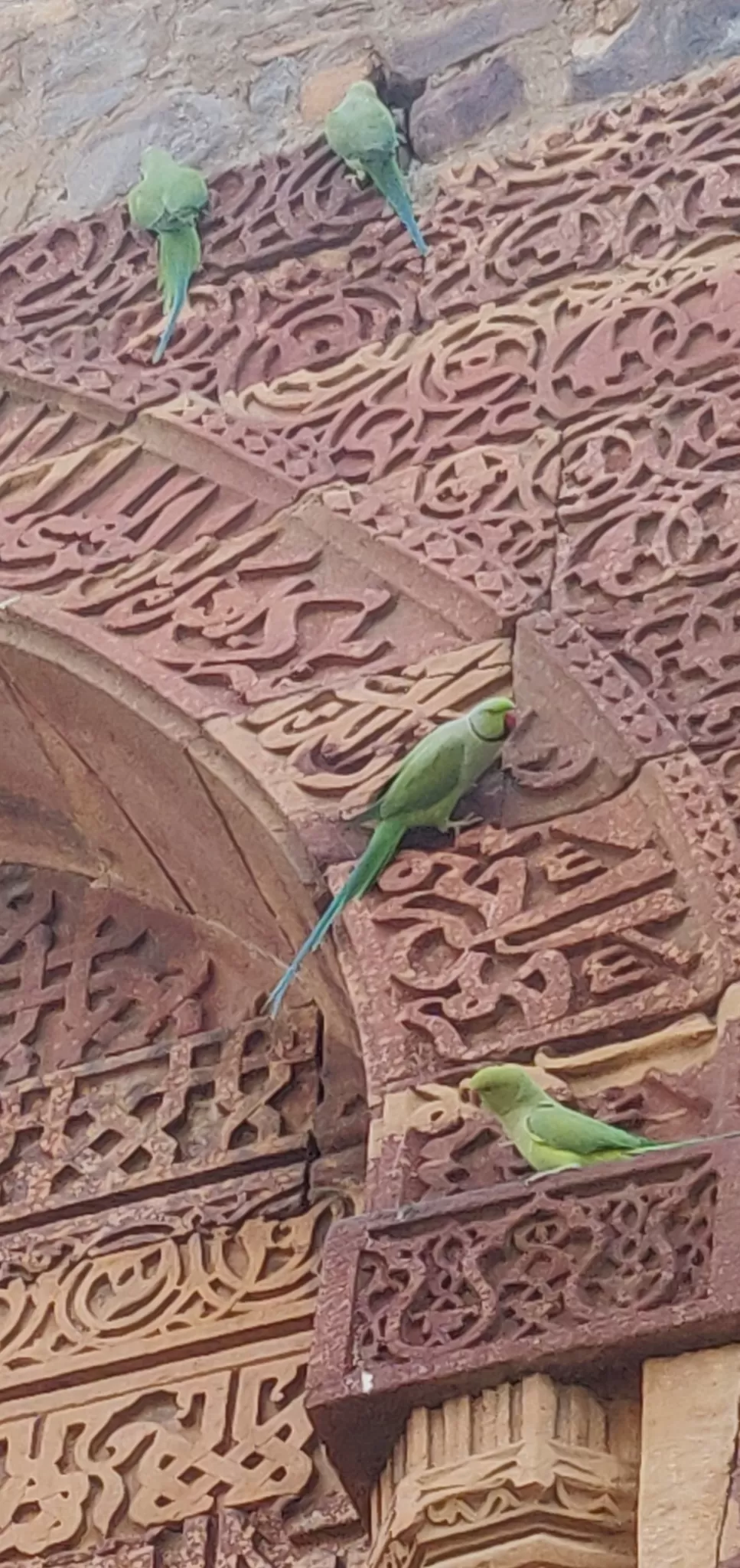 Photo of Qutub Minar, a monument standing strong for 800 years long! By Dinesh Lal