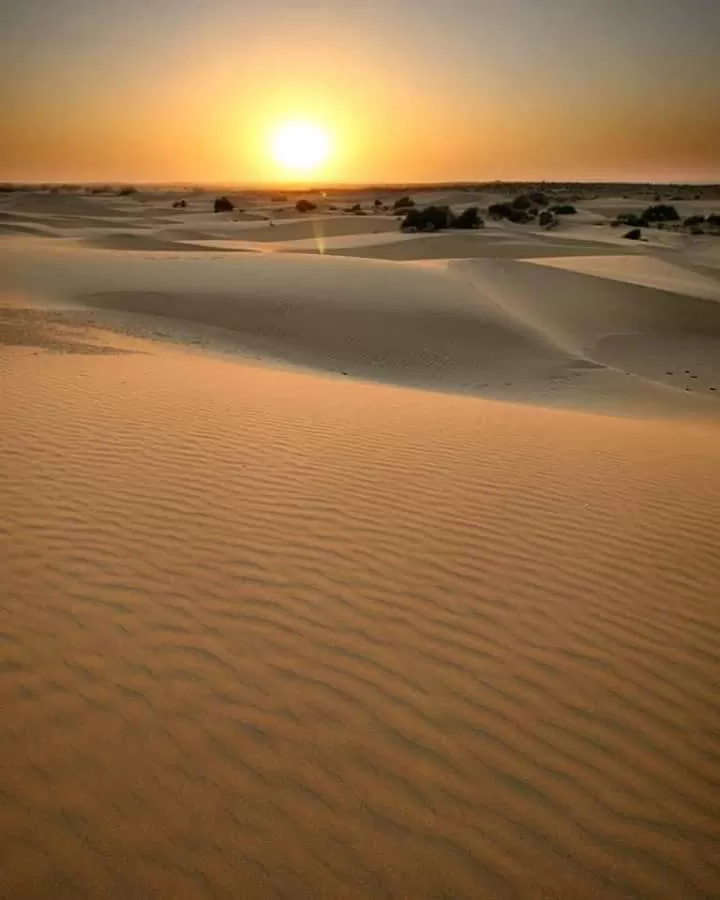 Photo of Barkha desert safari camp By barkha desert safari camp resort 