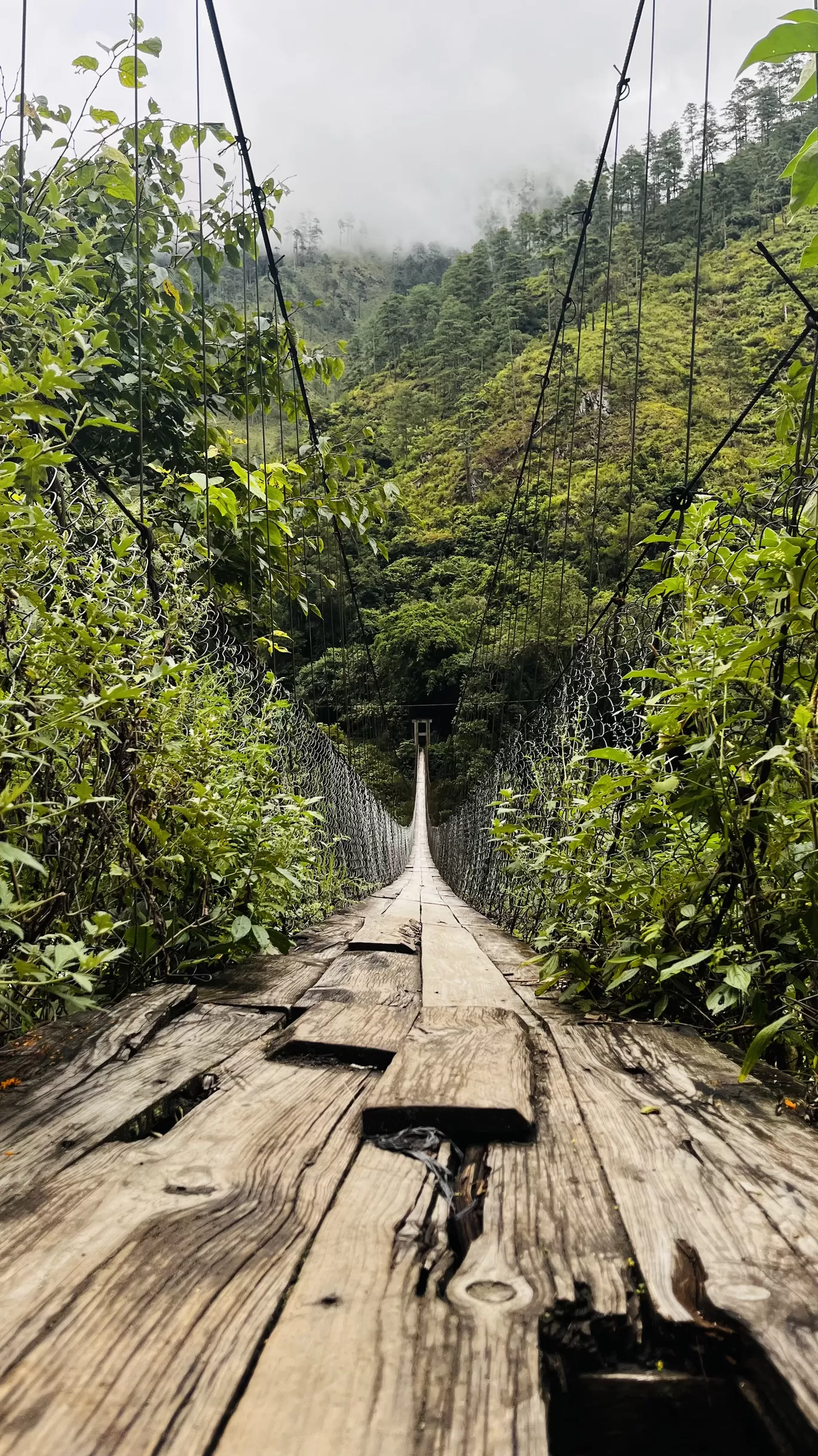 Photo of Arunachal Pradesh By Sutanu Banerjee @Country_Trotter!