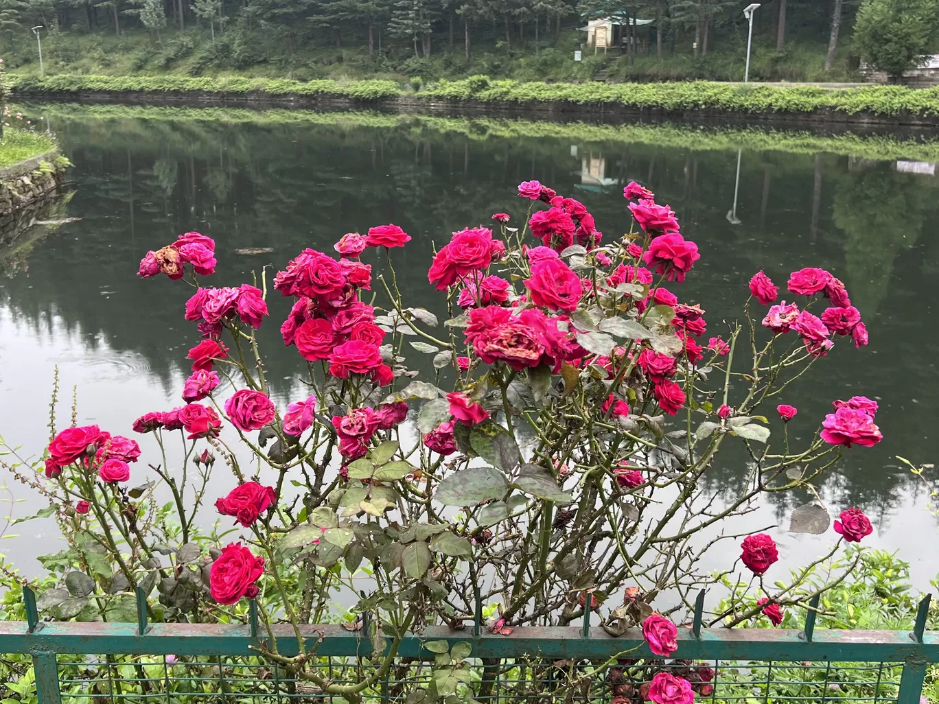Photo of TanniJubbar Lake By Jayachander N