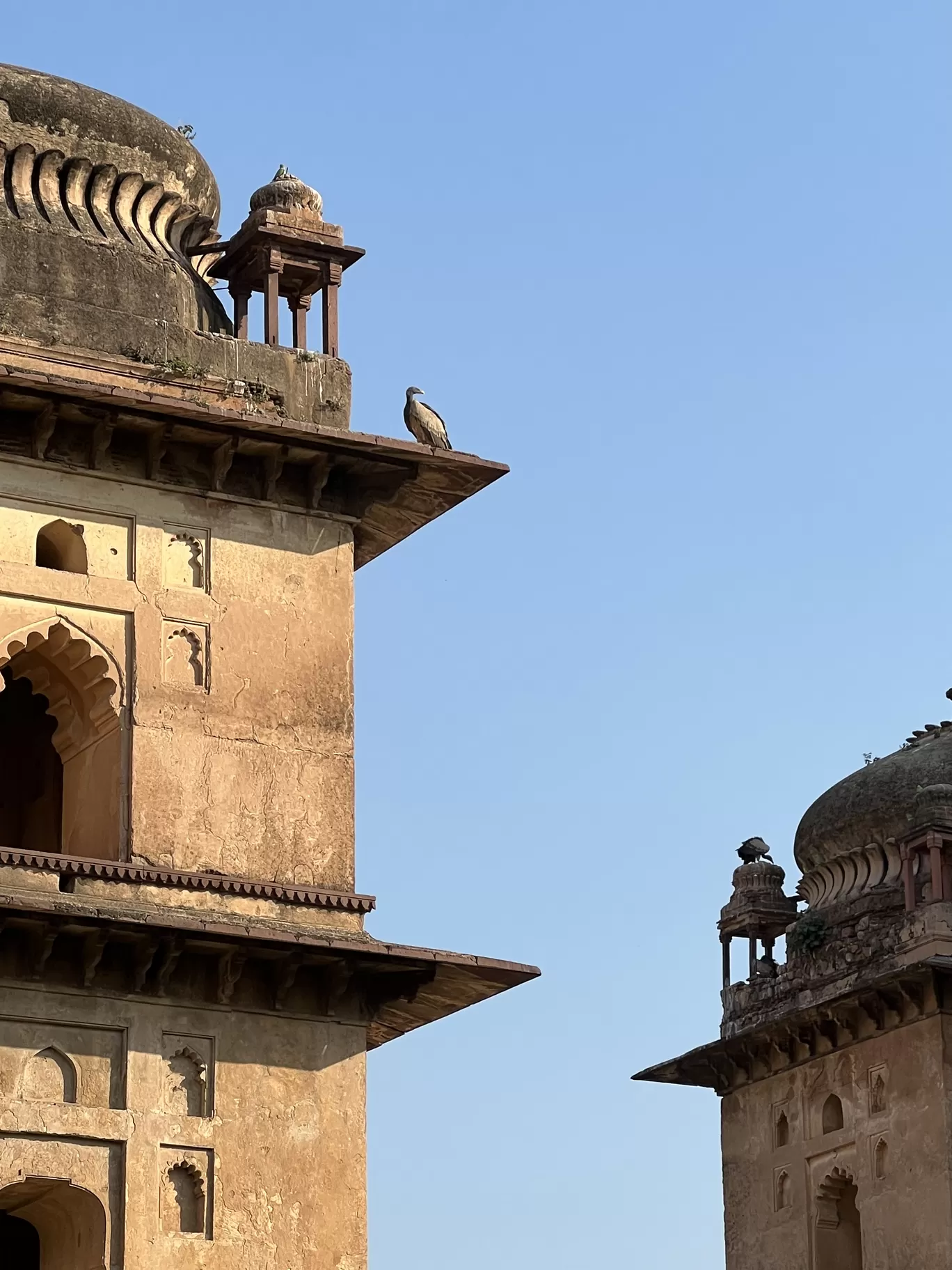 Photo of Orchha By Jayachander N