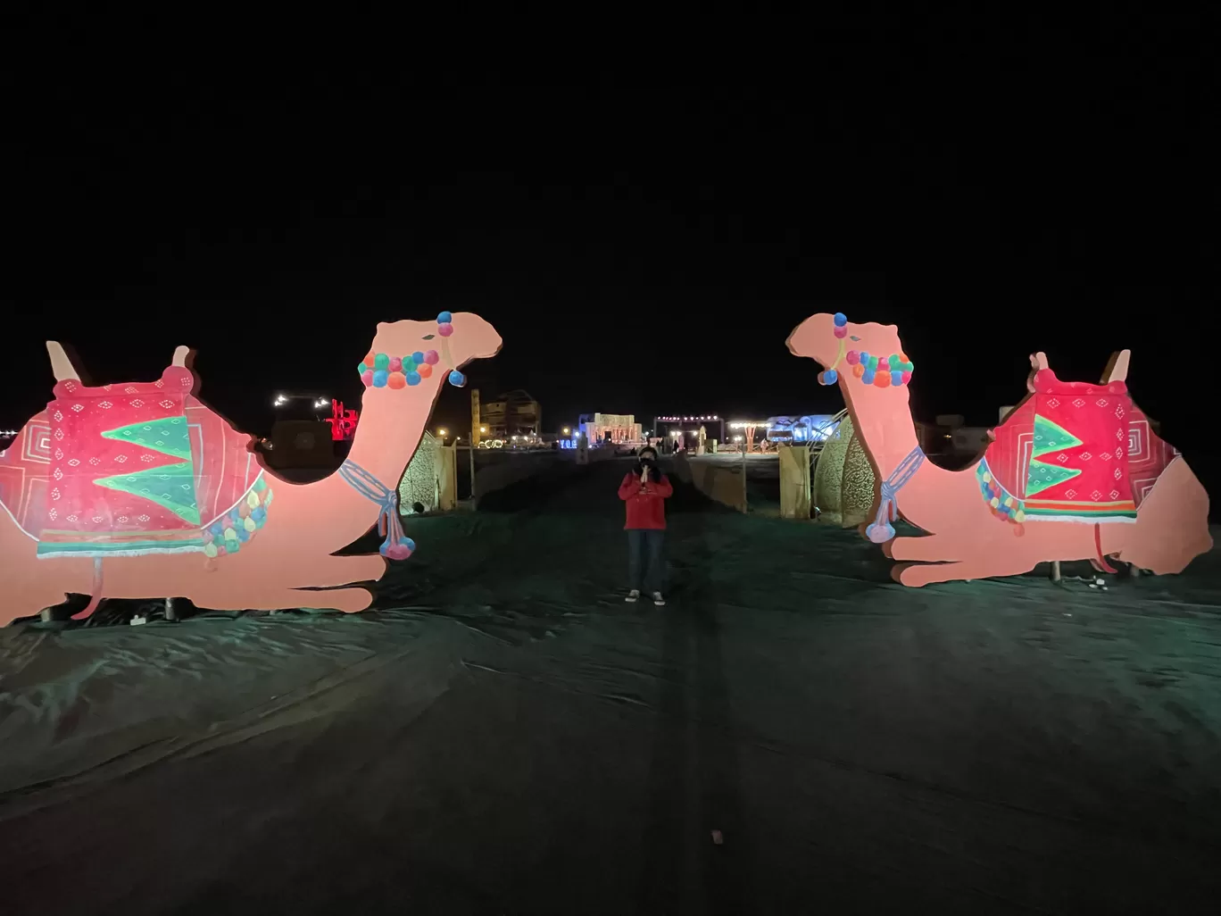 Photo of Rann Utsav-The Tent City By Jayachander N