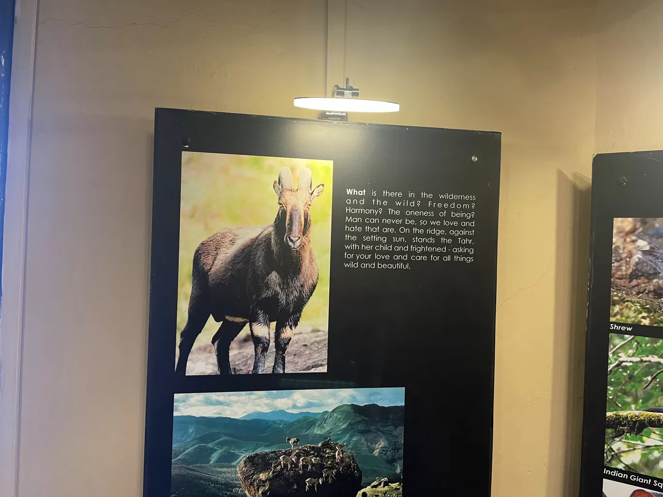 Photo of Eravikulam National Park By Jayachander N