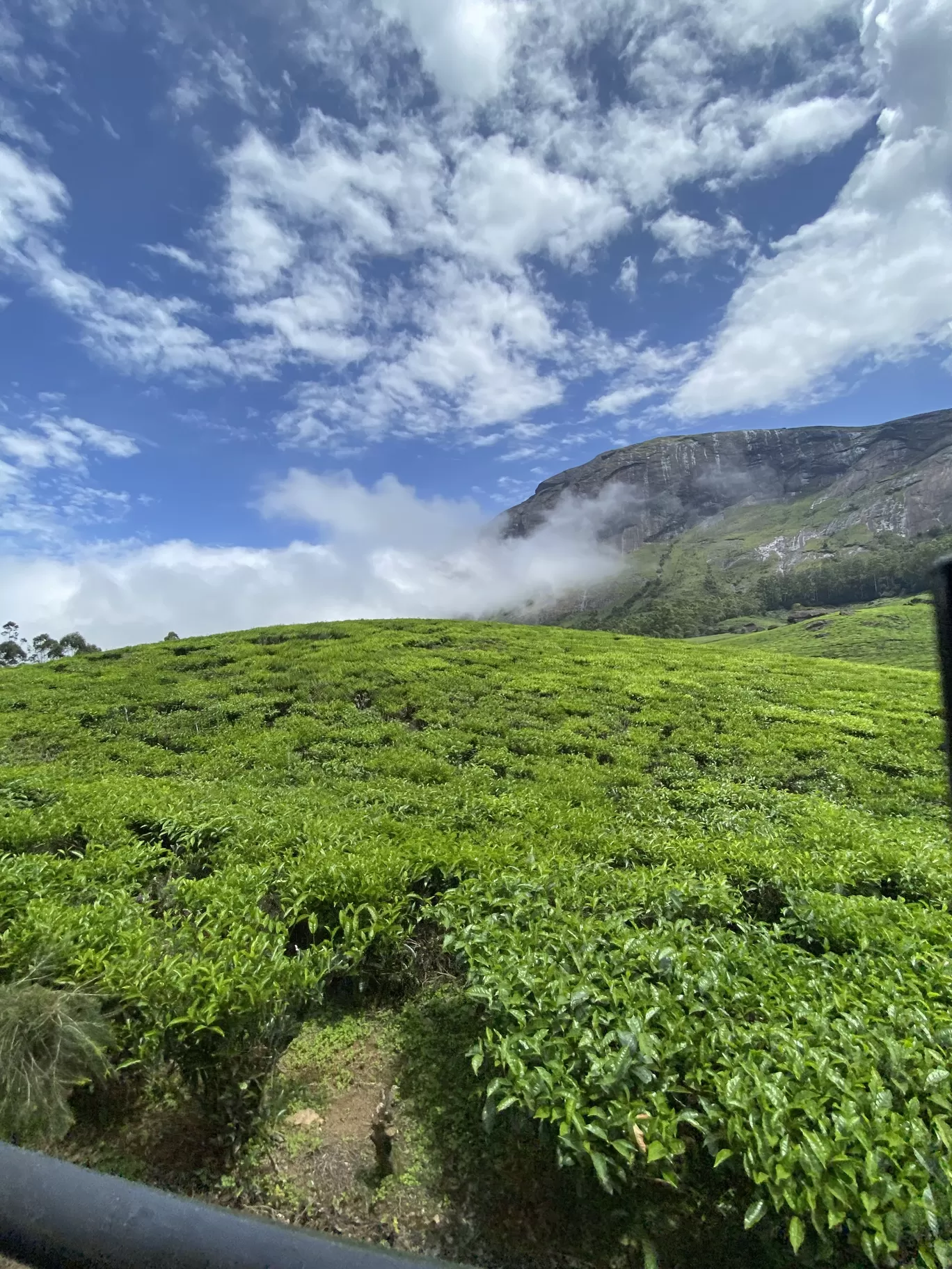 Photo of Eravikulam National Park By Jayachander N