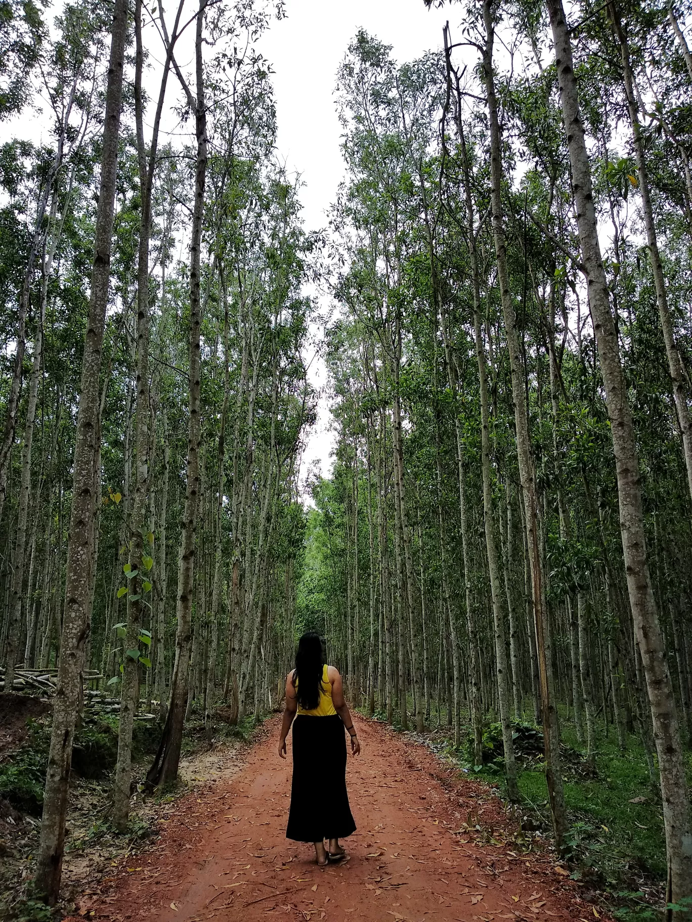Photo of Dandeli By Nishma Khetia