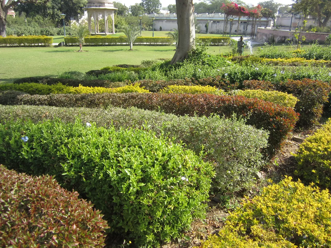 Photo of Lal Bagh By Ajay Singh Chouhan