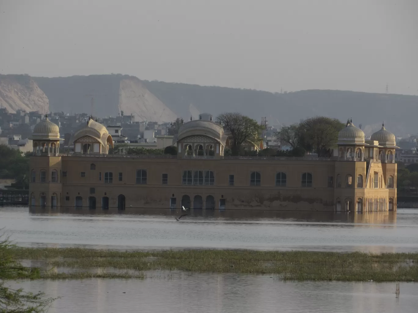 Photo of Jal Mahal Paal By Ajay Singh Chouhan