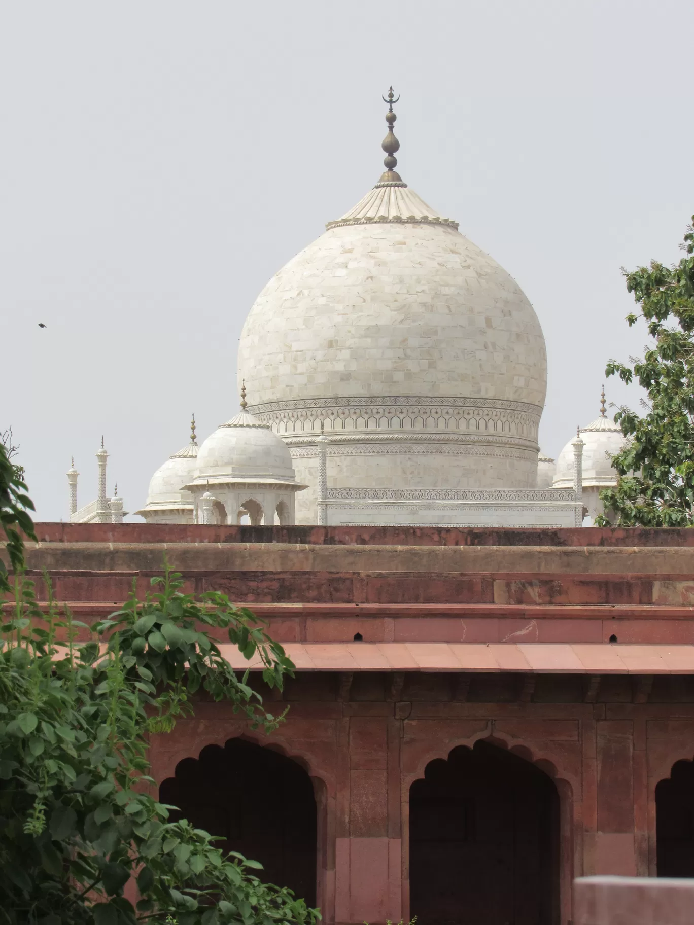 Photo of Taj Mahal By Ajay Singh Chouhan