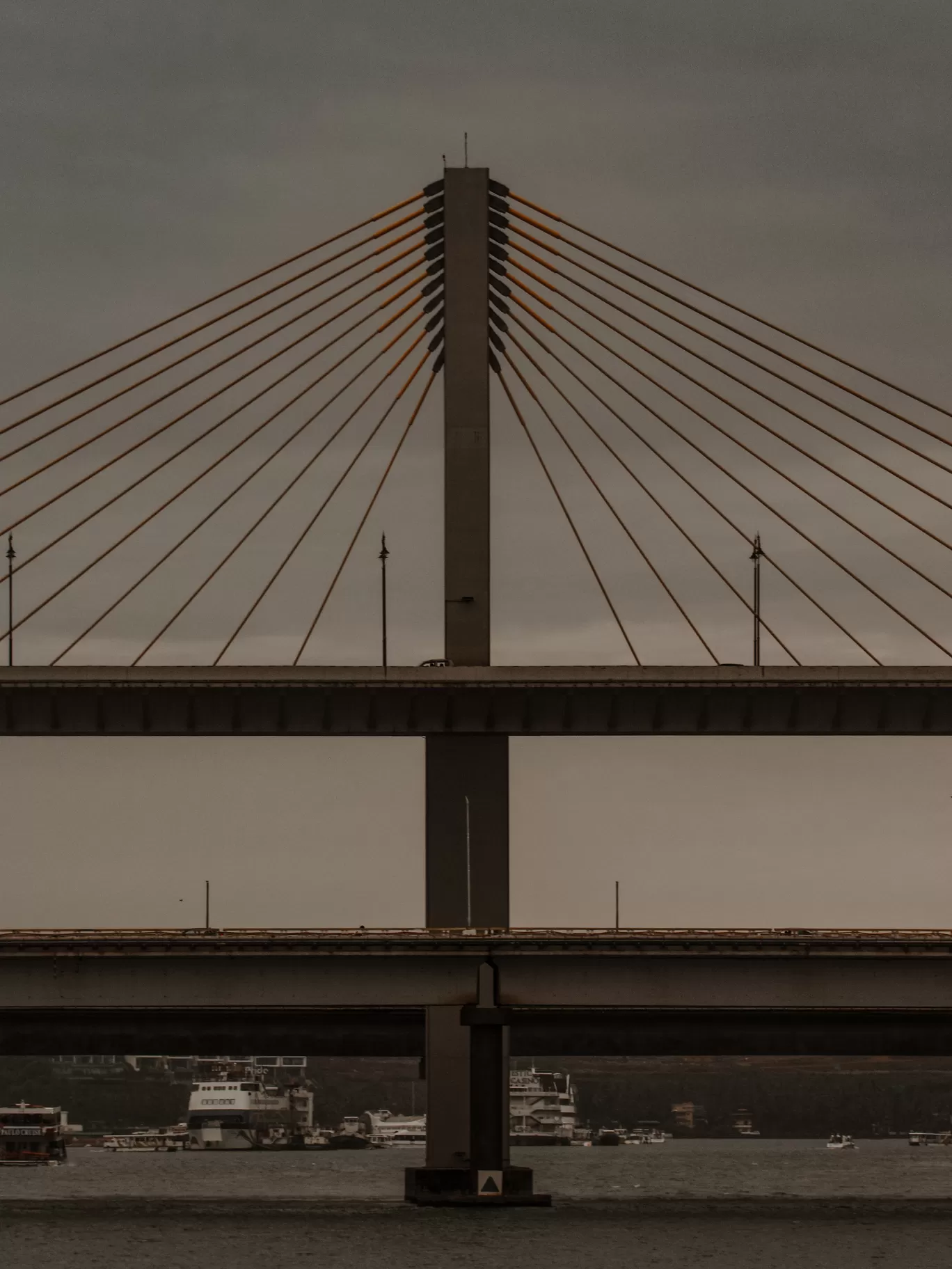 Photo of Atal Setu Bridge By Ajay Singh Chouhan
