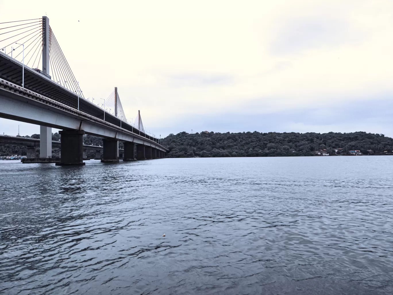 Photo of Atal Setu Bridge By Ajay Singh Chouhan