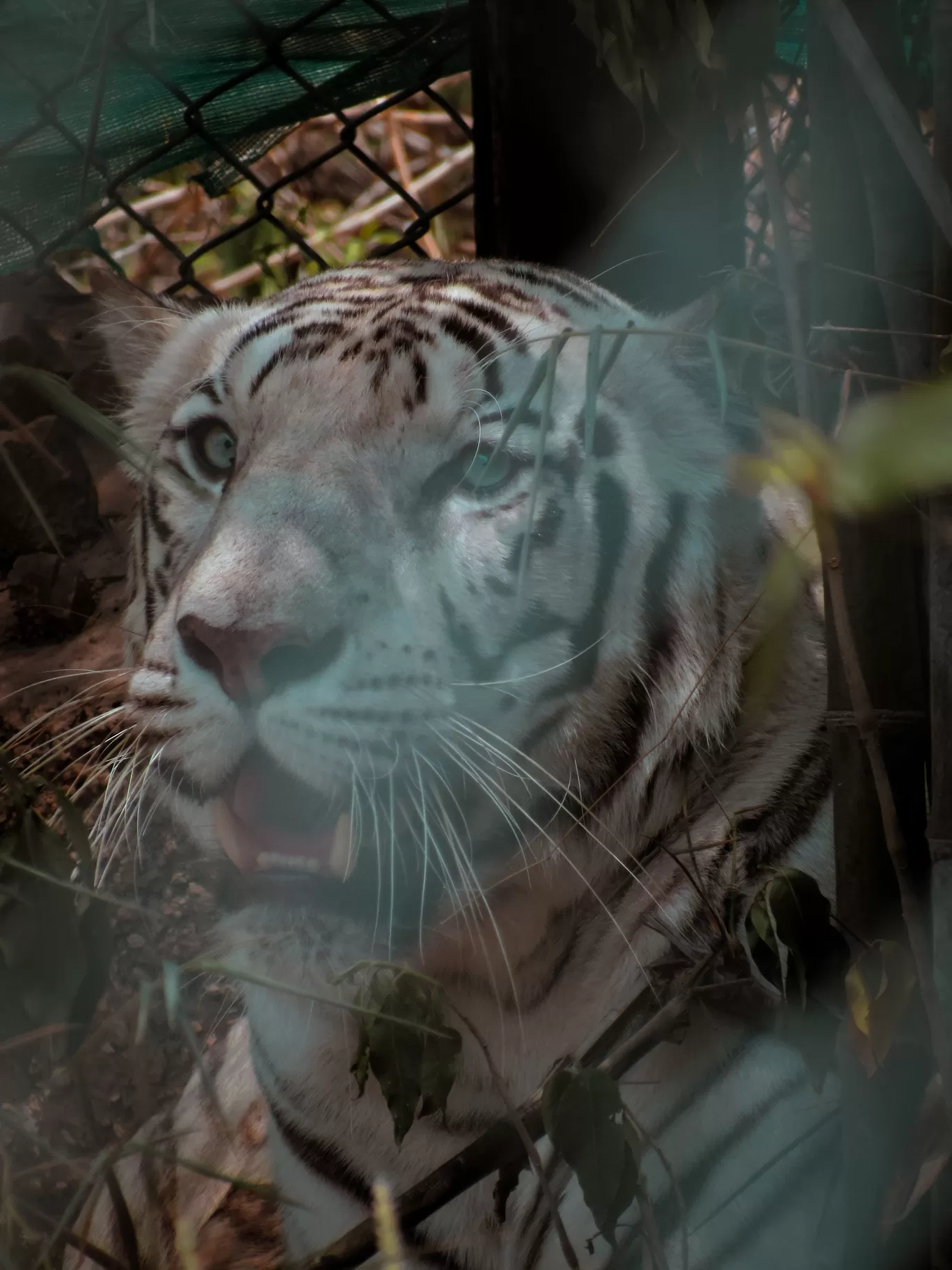 Photo of Nahargarh Biological Park By Ajay Singh Chouhan