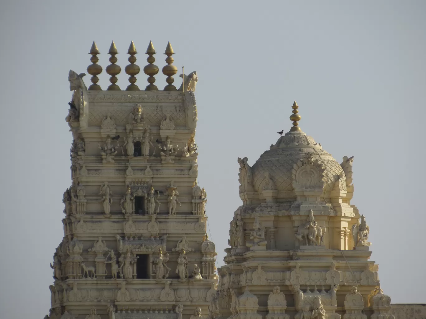 Photo of Somnath By Ajay Singh Chouhan
