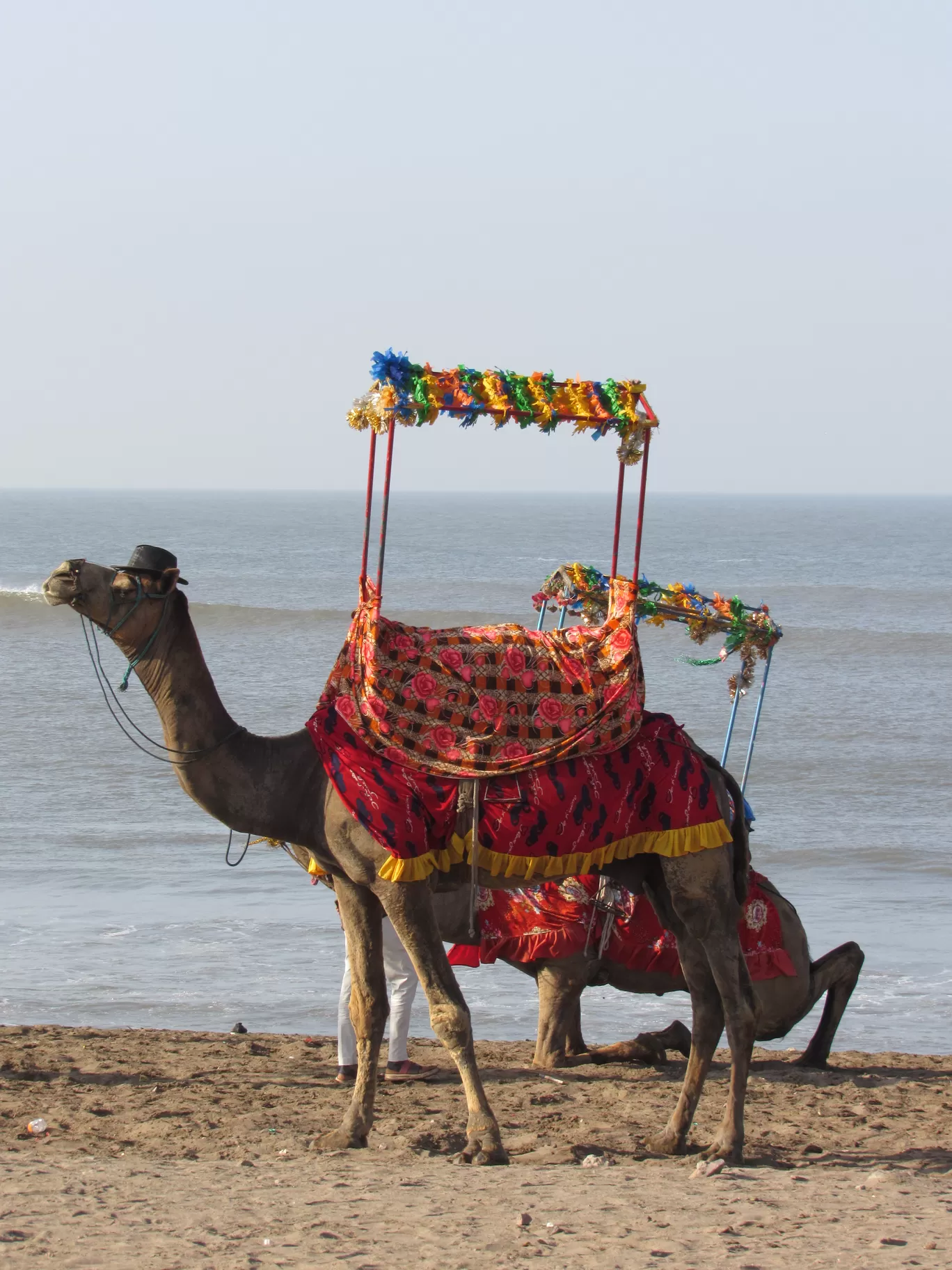 Photo of Somnath By Ajay Singh Chouhan