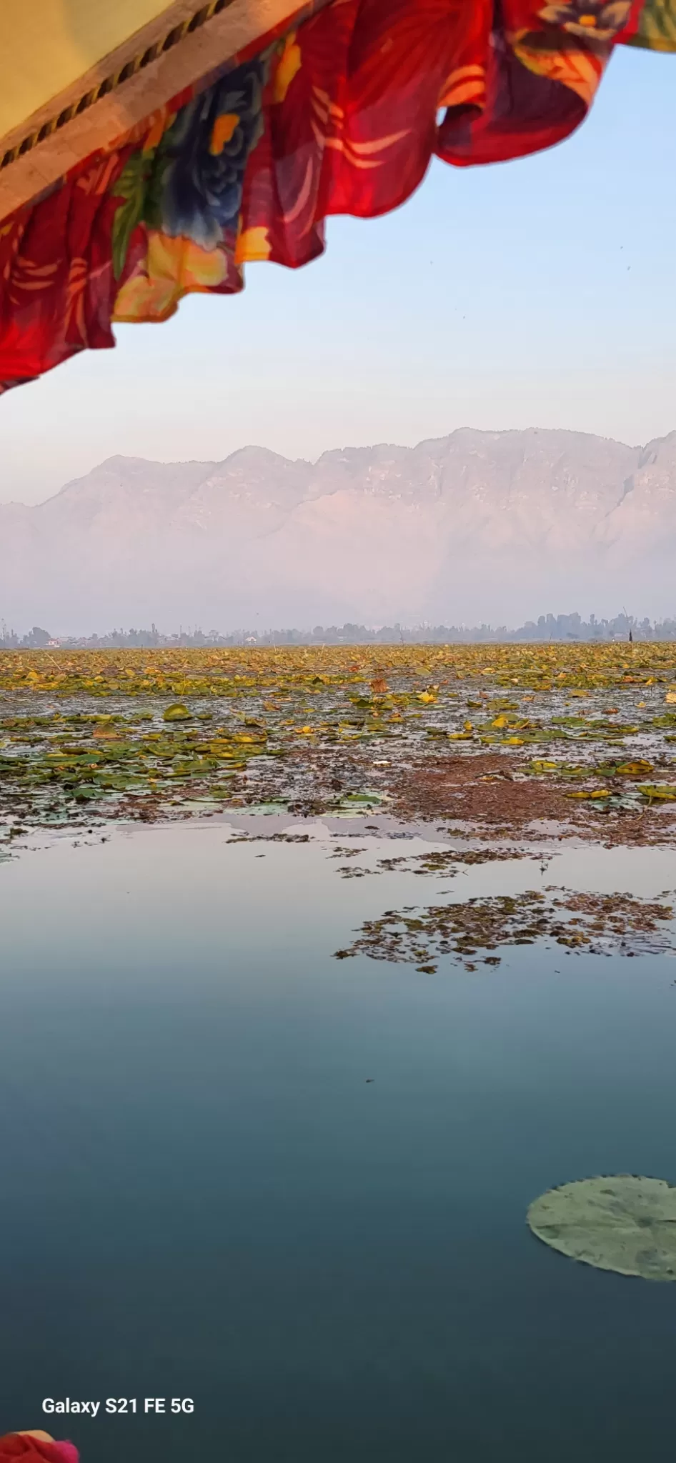 Photo of Dal Lake By Sreeja Gupta 097