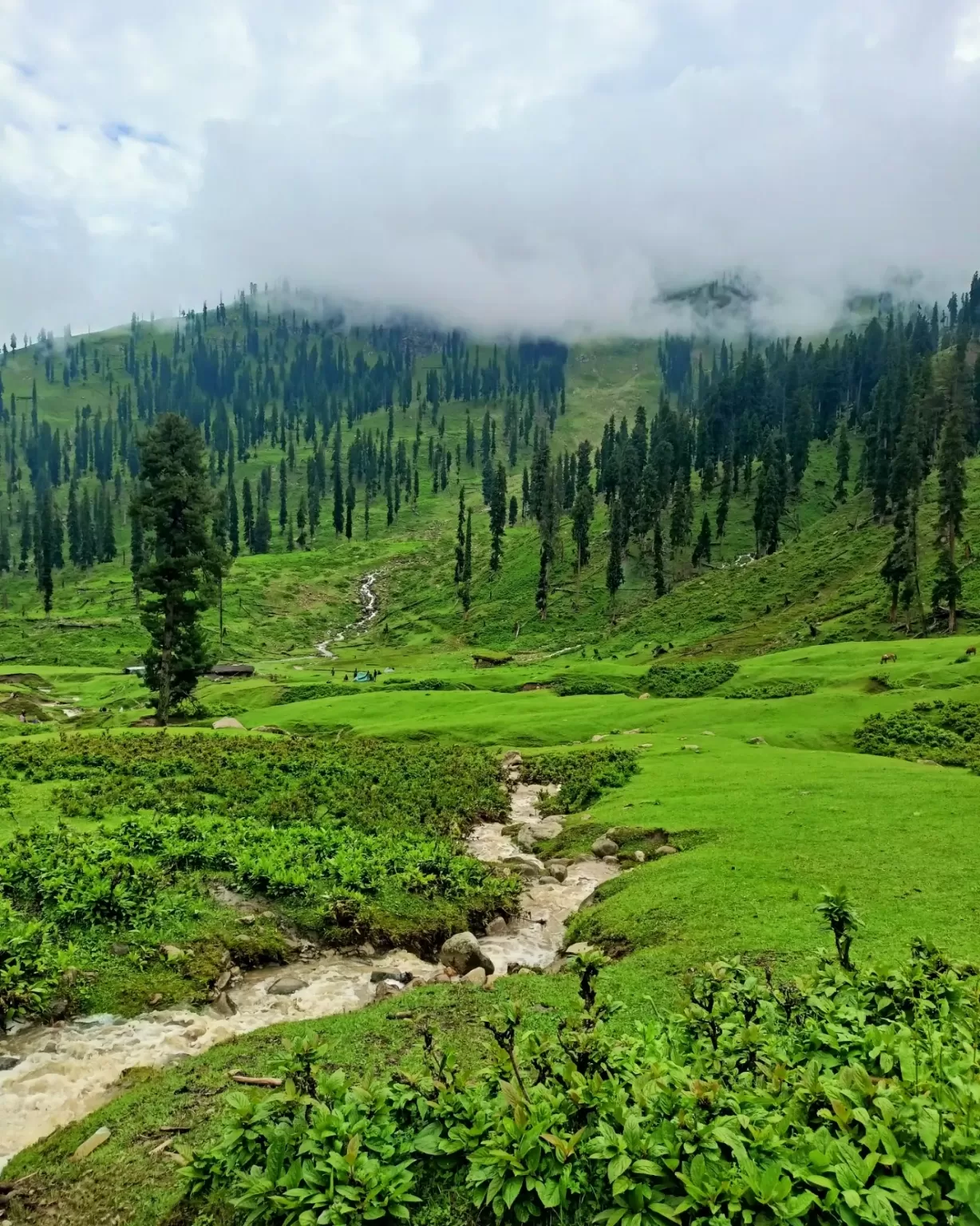 Photo of Shopian By withfurqaan 