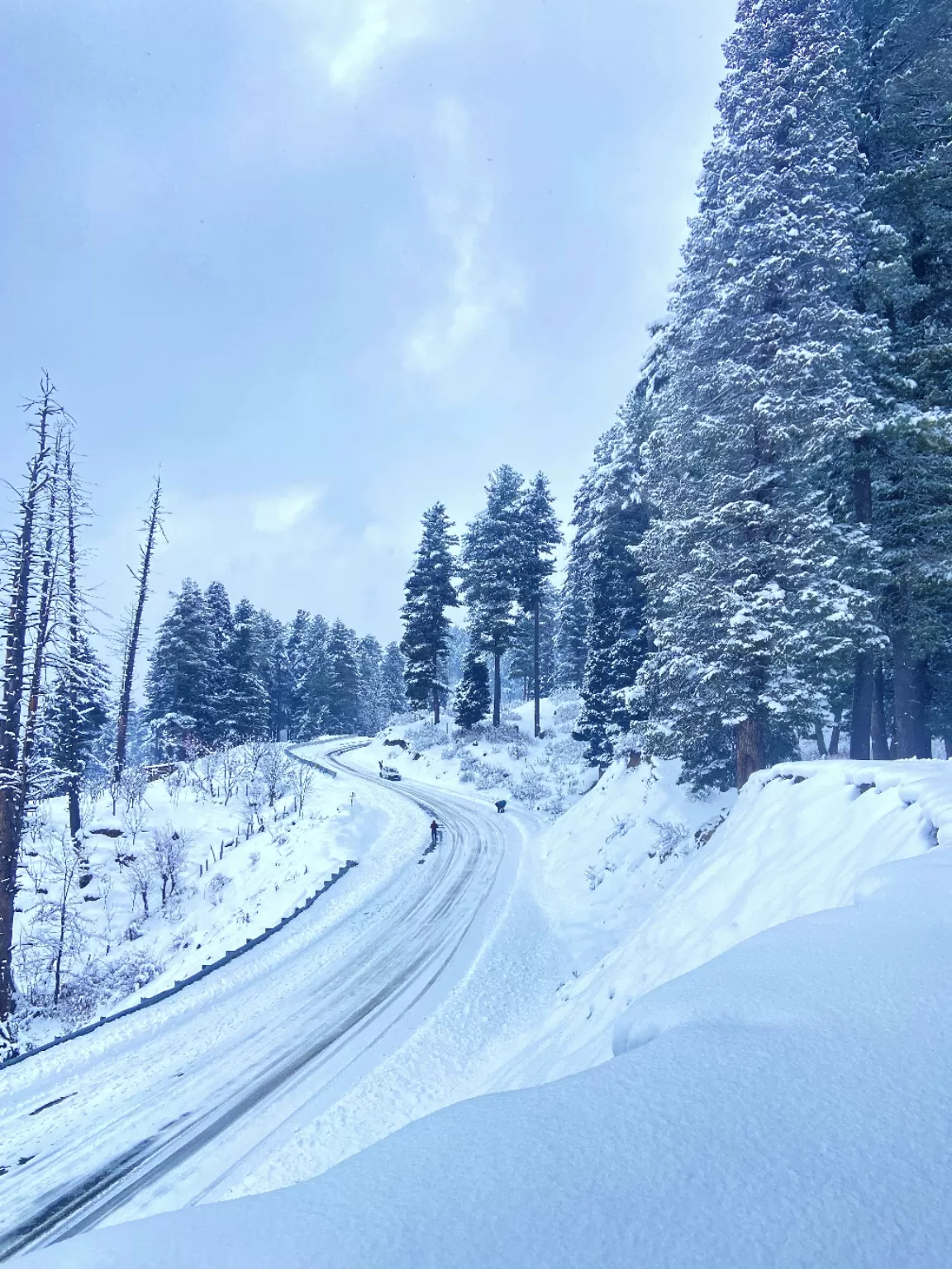 Photo of Mughal Road Shopian By withfurqaan 