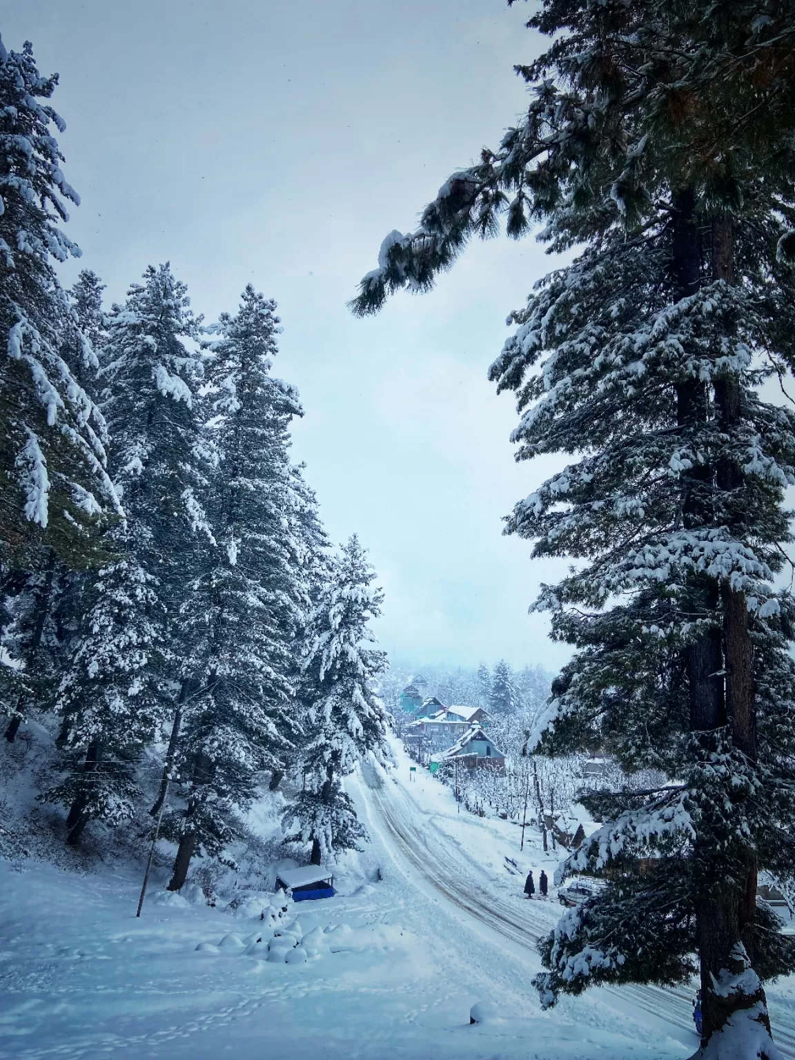 Photo of Mughal Road Shopian By withfurqaan 