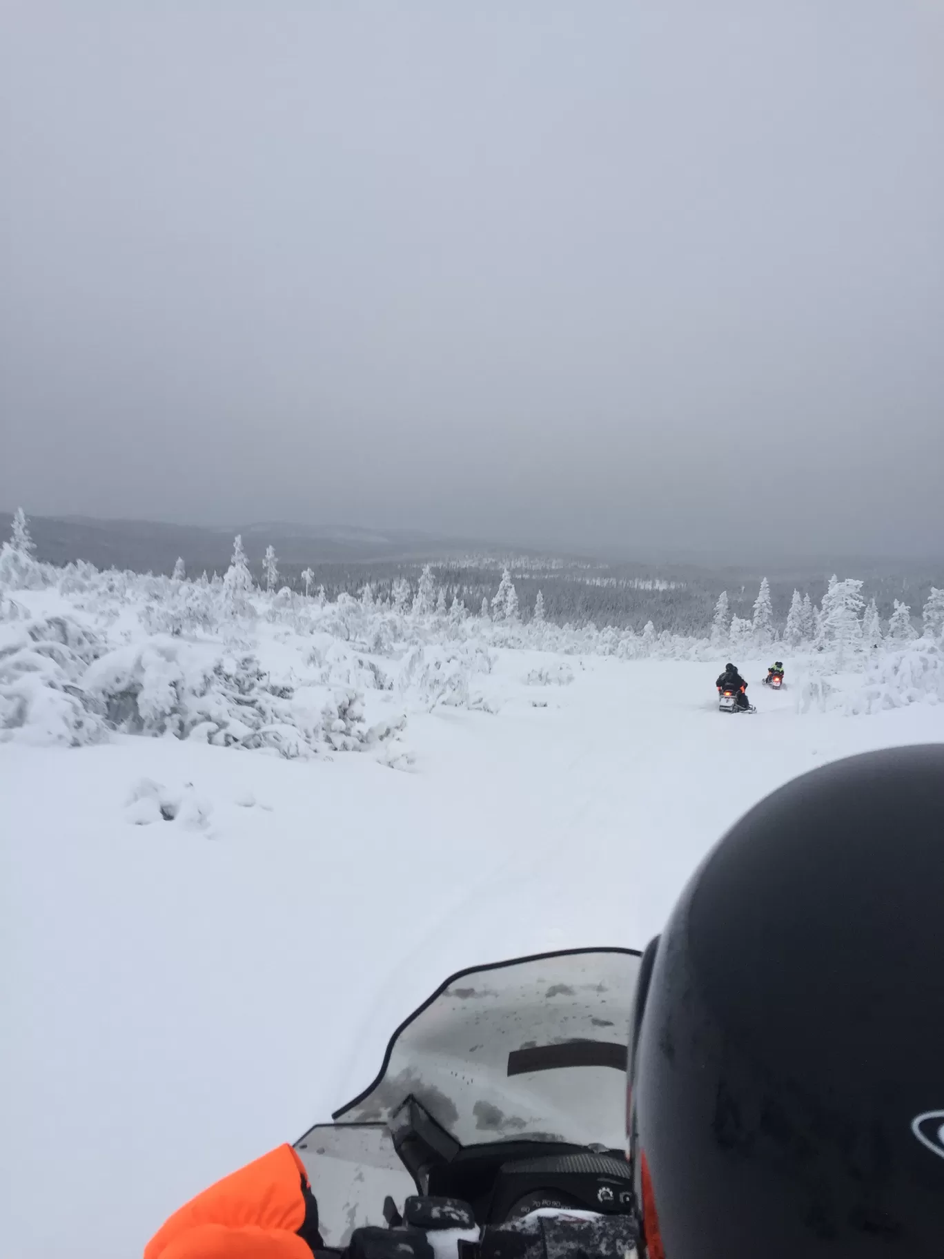 Photo of Lapland By Aahuti Sejpal