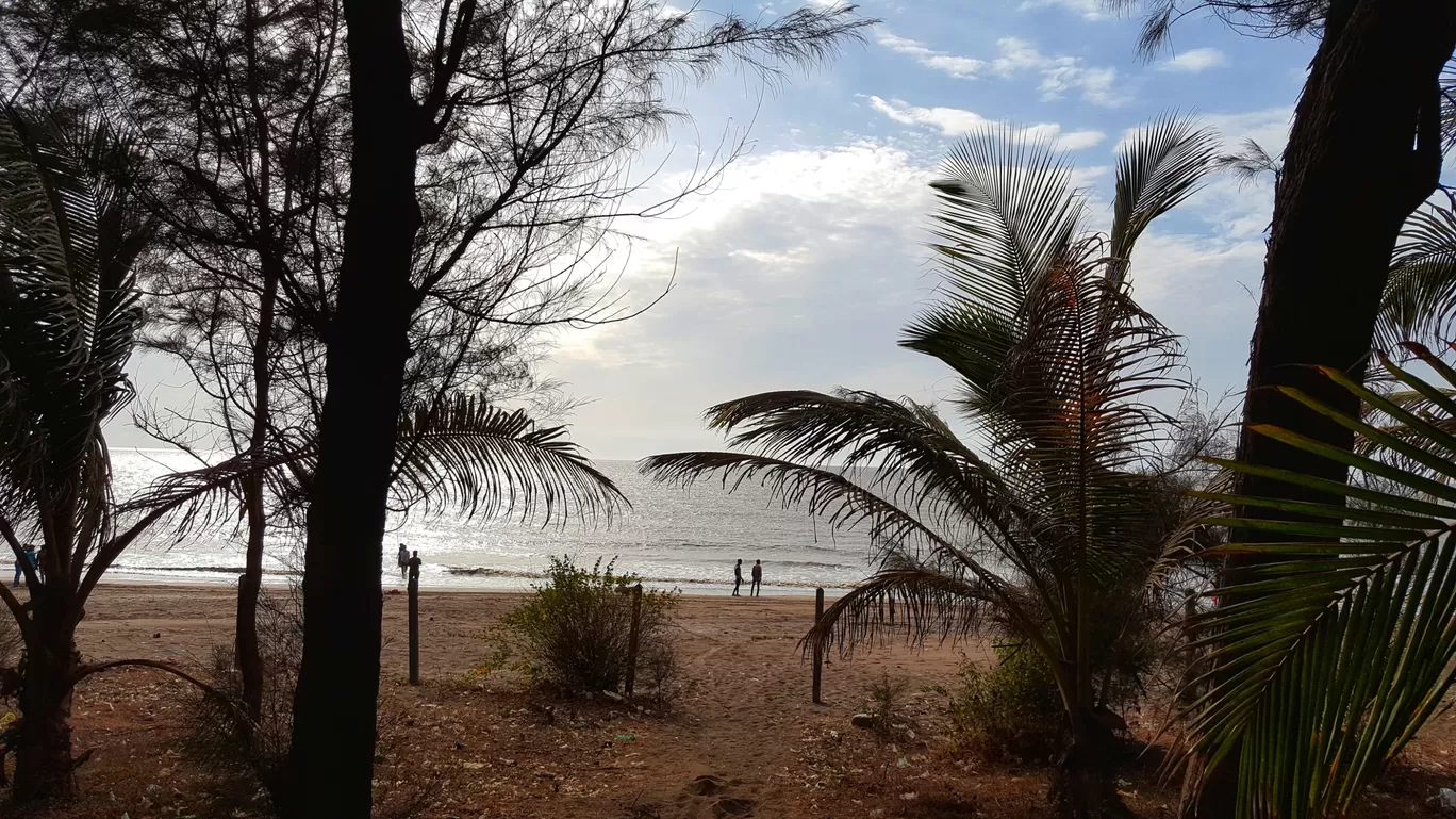 Photo of Dahanu Beach By Jagan Nadar