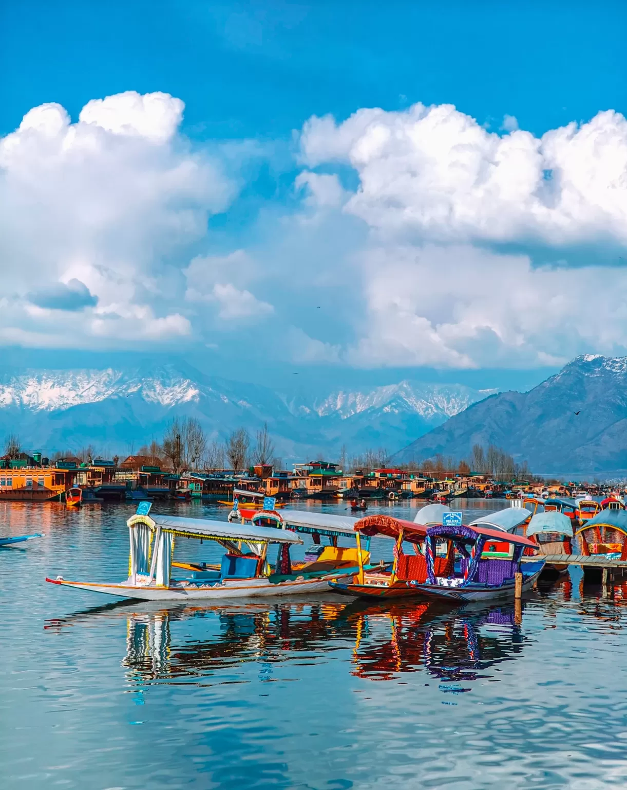 Photo of Dal Lake By Atta ullah Bhat