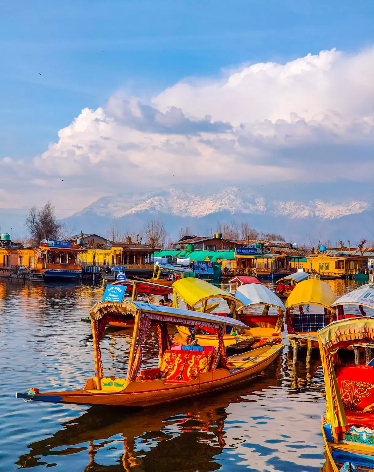 Photo of Dal Lake By Atta ullah Bhat