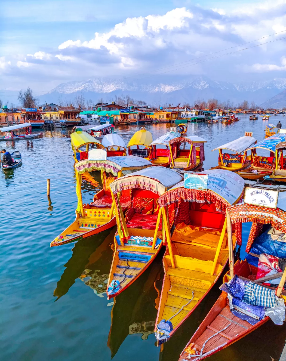 Photo of Dal Lake By Atta ullah Bhat