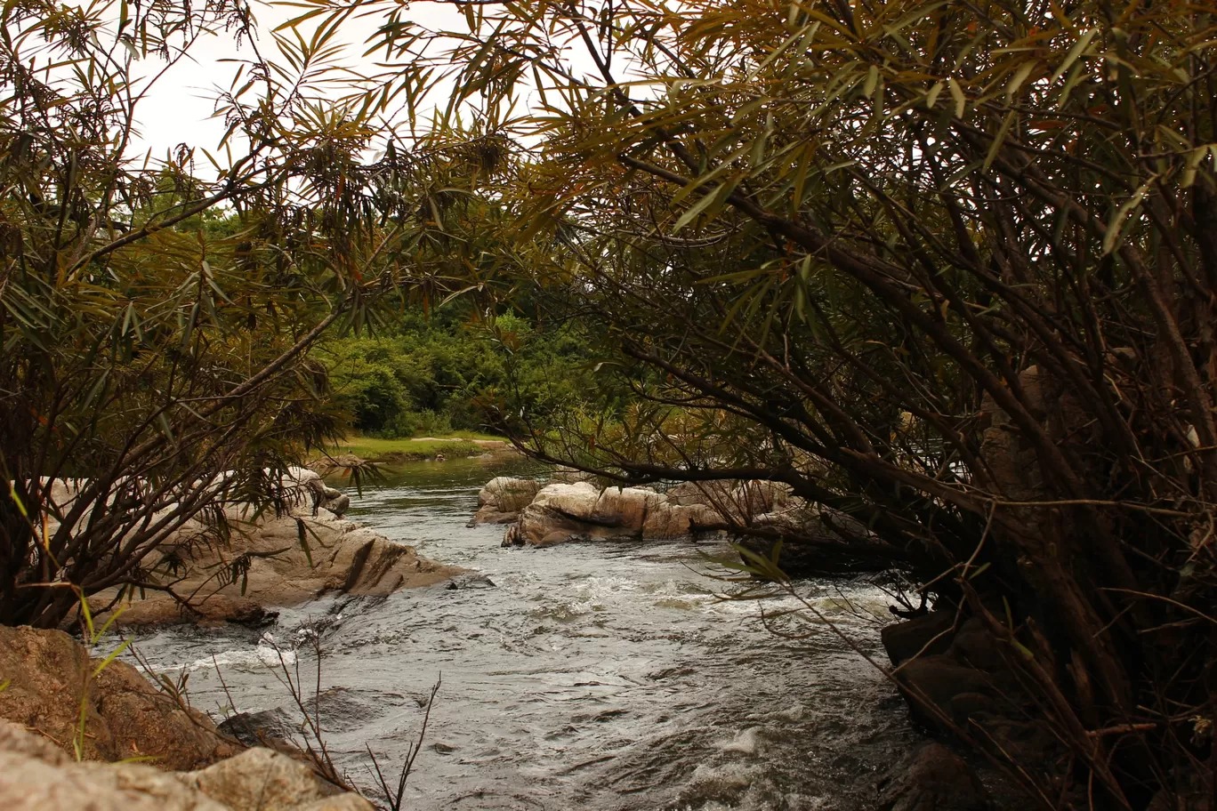 Photo of Chinnar Wildlife Sanctuary By Sakshi Agarwal