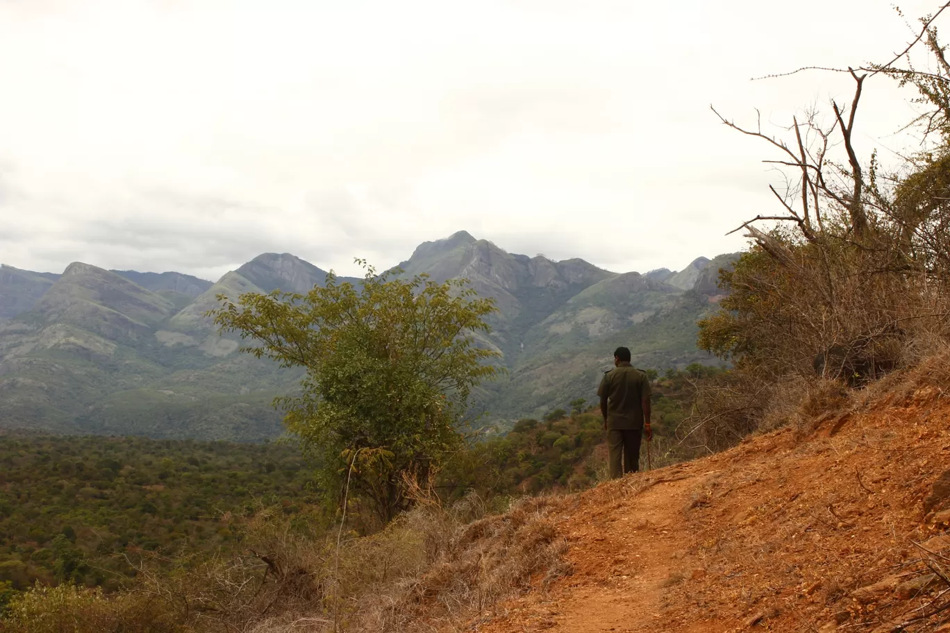 Photo of Chinnar Wildlife Sanctuary By Sakshi Agarwal